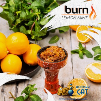 Заказать кальянный табак Burn Lemon Mint (Берн Лимон Мята) 100г онлайн с доставкой всей России - фото 1 Заказать кальянный табак Burn Lemon Mint (Берн Лимон Мята) 100г онлайн с доставкой всей России - фото 1